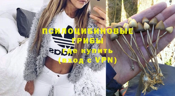 амф Алексин