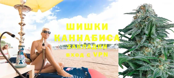 PSILOCYBIN Абаза